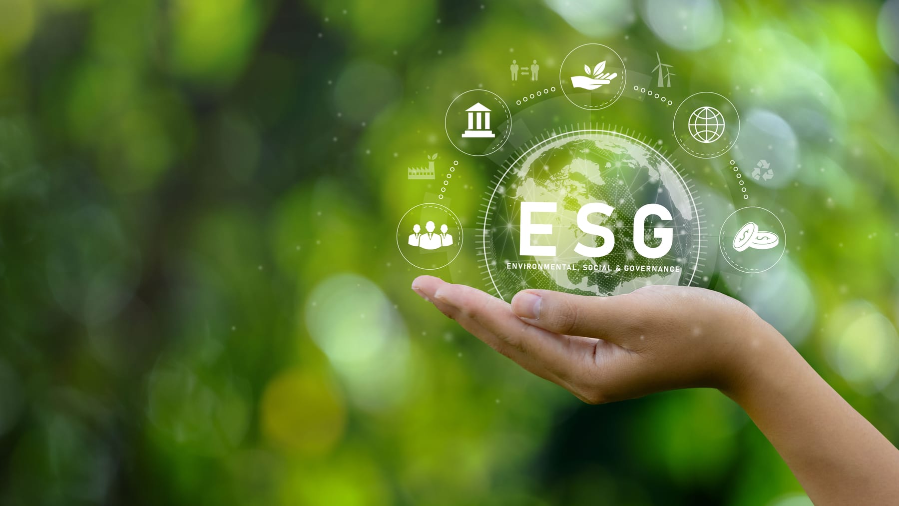 ESG e Responsabilidade Social